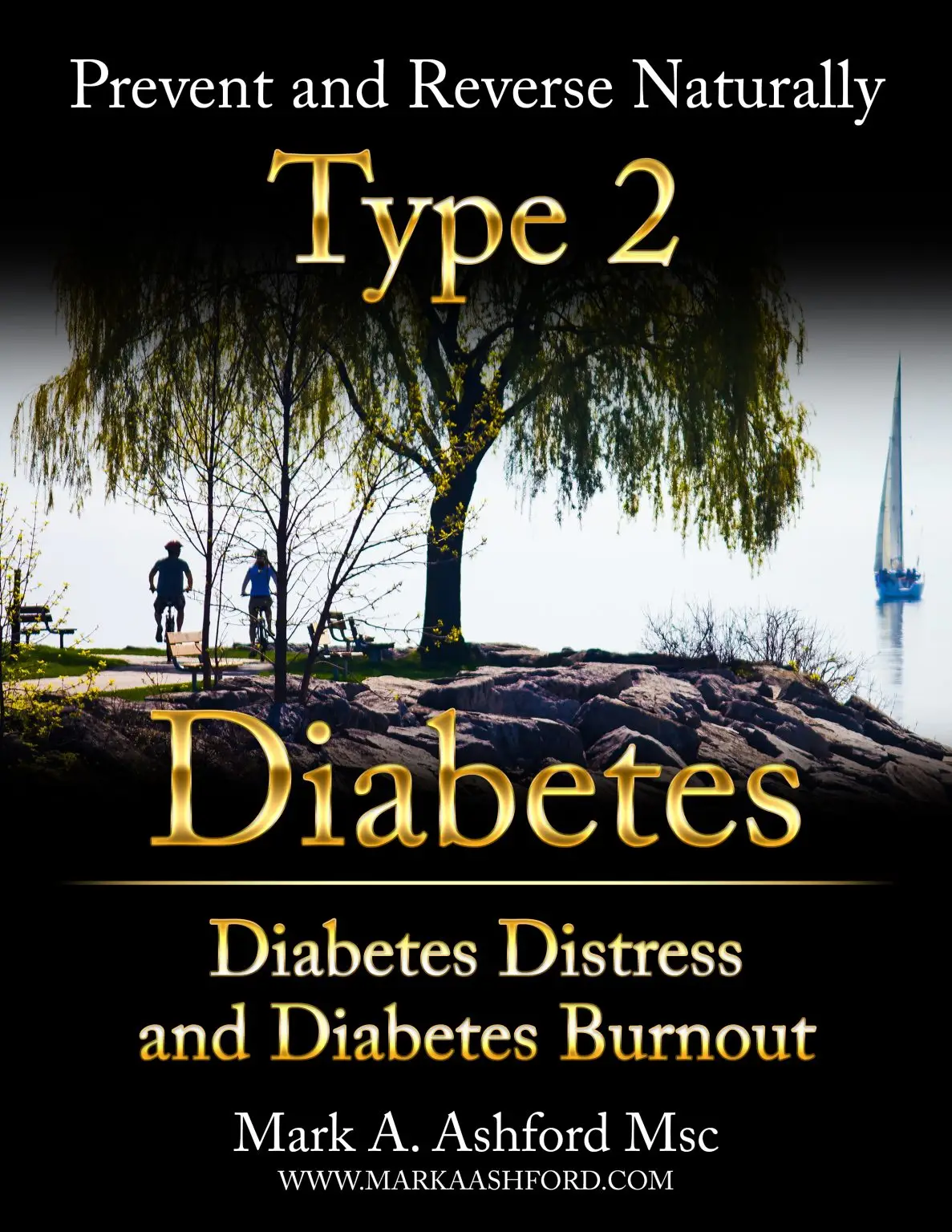 Ashforma Type2 Distress