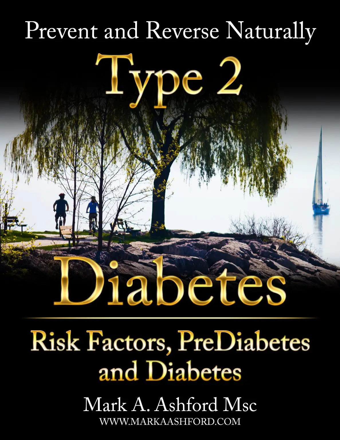 Ashforma Type2 Riskfactors