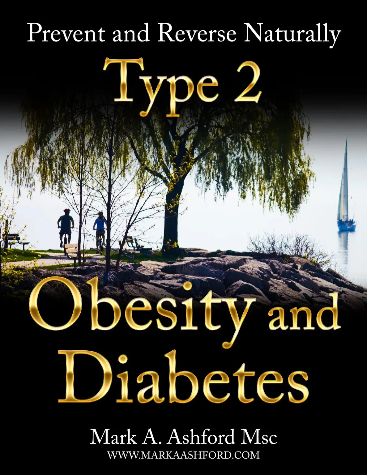 Ashforma Type2 Obesity And Diabetes