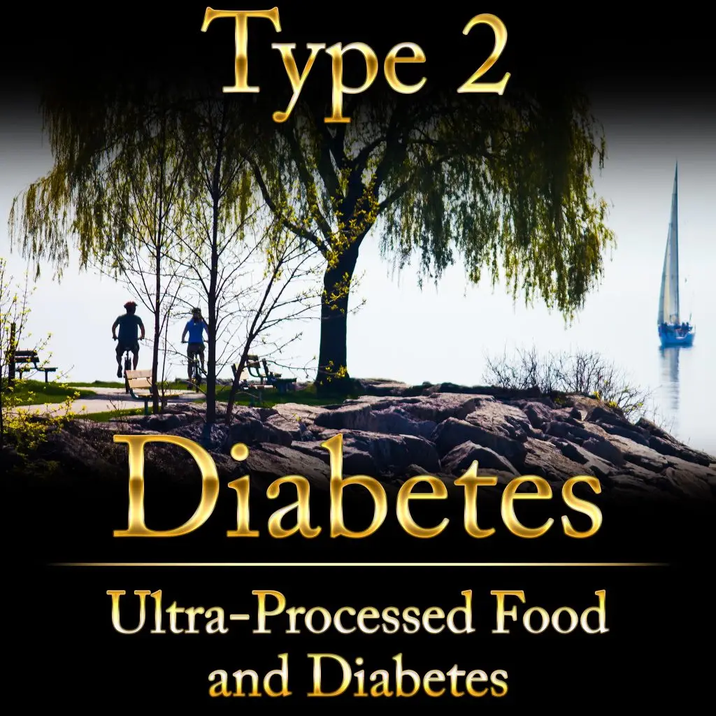 Ashforma Type2 Ultraprocessed
