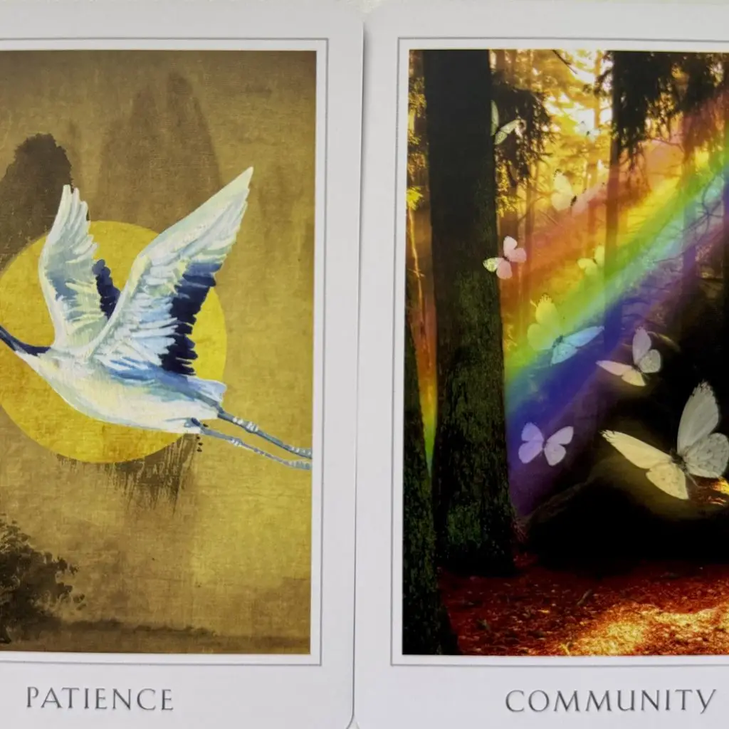 Shamanenergy2025 08 18