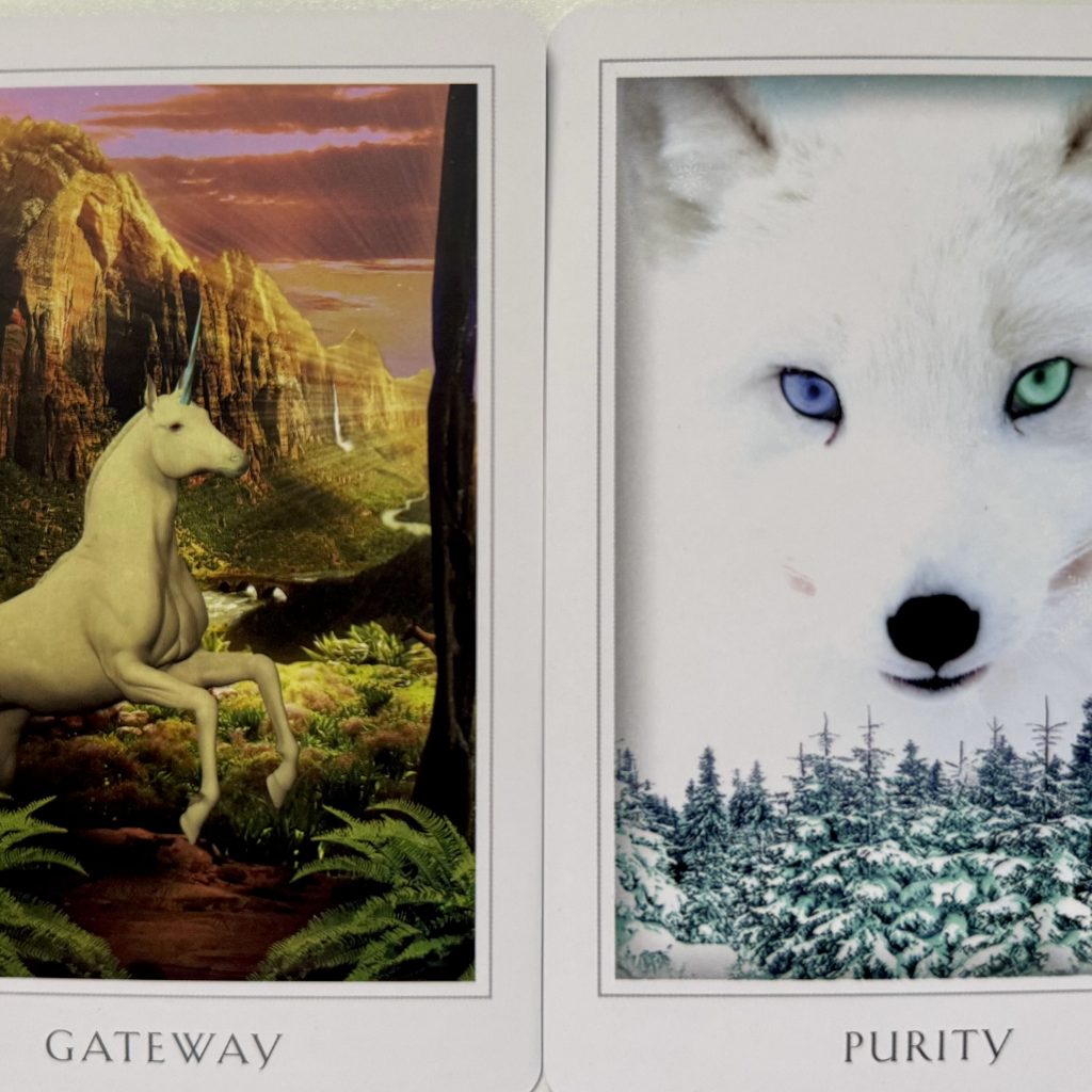Shamanenergy2025 08 11